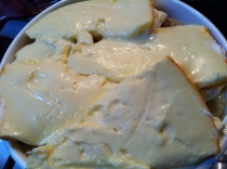 Wow ... that cheese almost looks to goo(d) to bake!